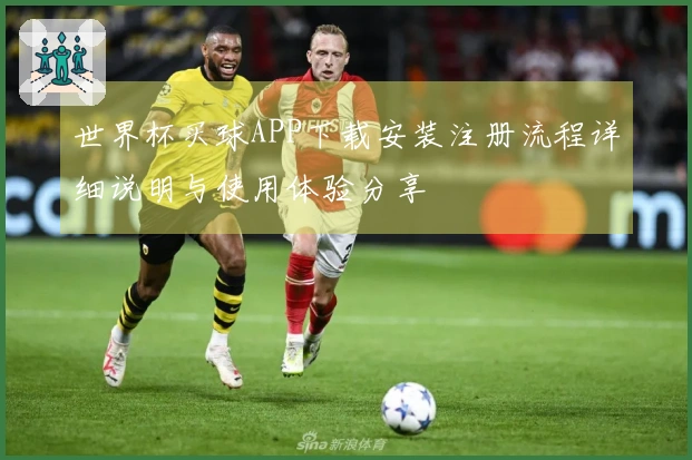 世界杯买球APP下载安装注册流程详细说明与使用体验分享