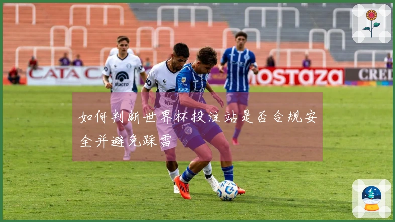 如何判断世界杯投注站是否合规安全并避免踩雷