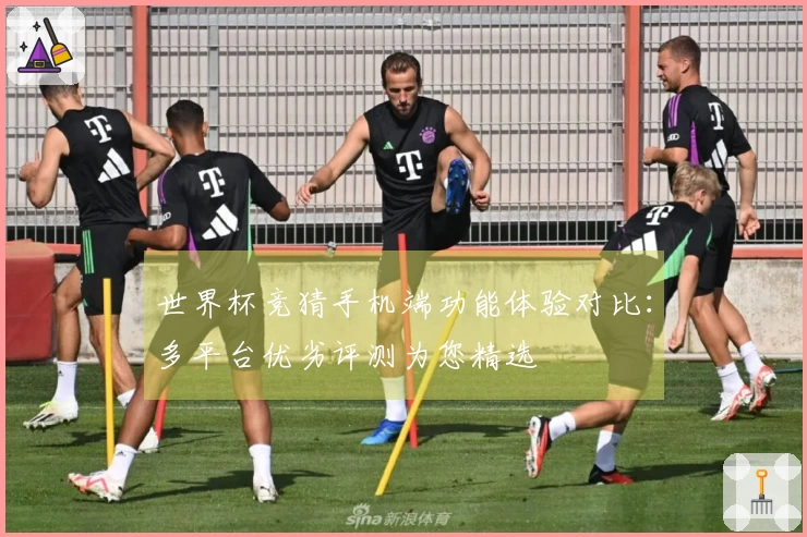 世界杯竞猜手机端功能体验对比：多平台优劣评测为您精选