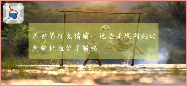 买世界杯竞猜前，这些正规网站的判断标准你了解吗