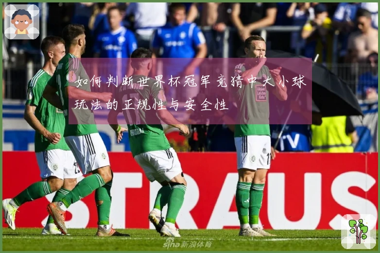 如何判断世界杯冠军竞猜中大小球玩法的正规性与安全性