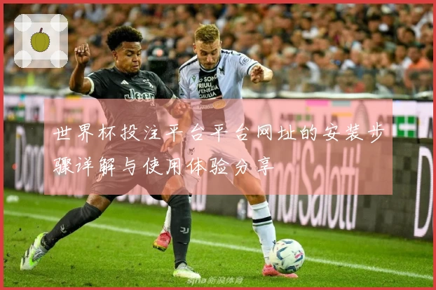 世界杯投注平台平台网址的安装步骤详解与使用体验分享