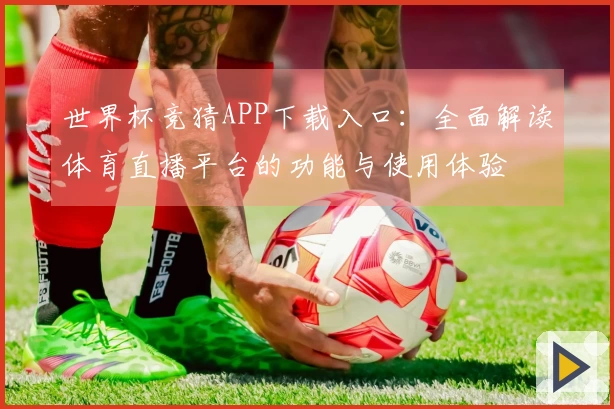 世界杯竞猜APP下载入口:全面解读体育直播平台的功能与使用体验