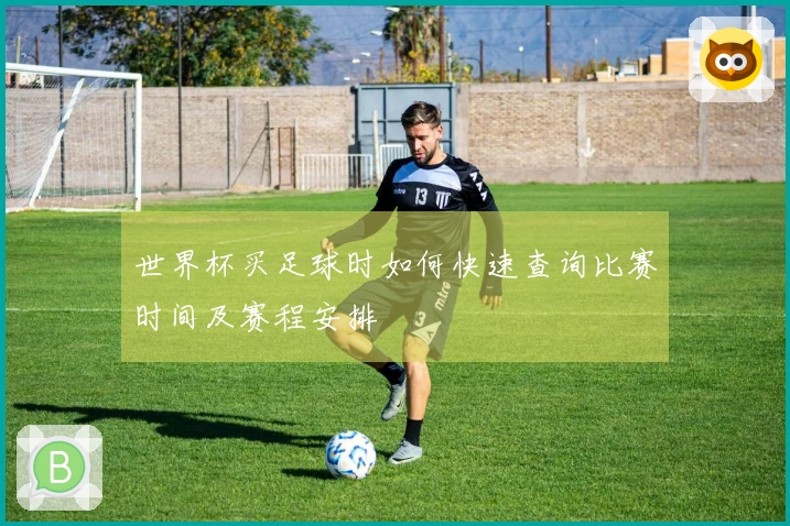 世界杯买足球时如何快速查询比赛时间及赛程安排