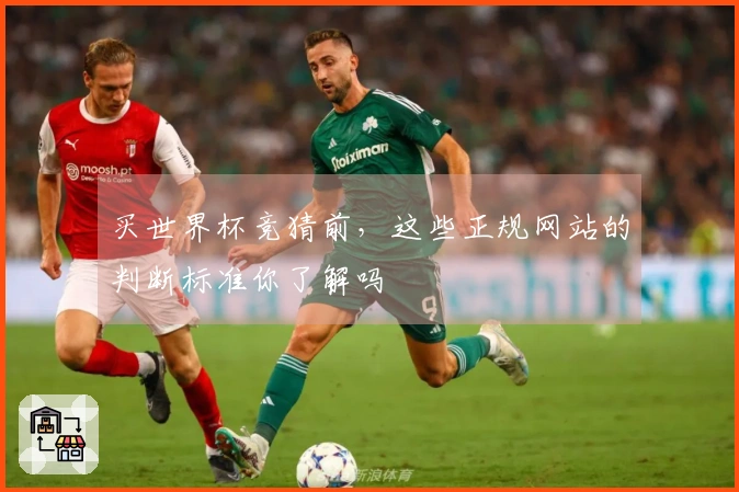买世界杯竞猜前，这些正规网站的判断标准你了解吗
