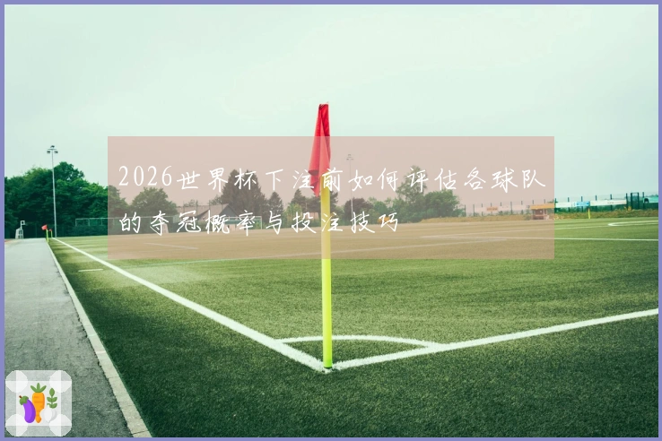 2026世界杯下注前如何评估各球队的夺冠概率与投注技巧