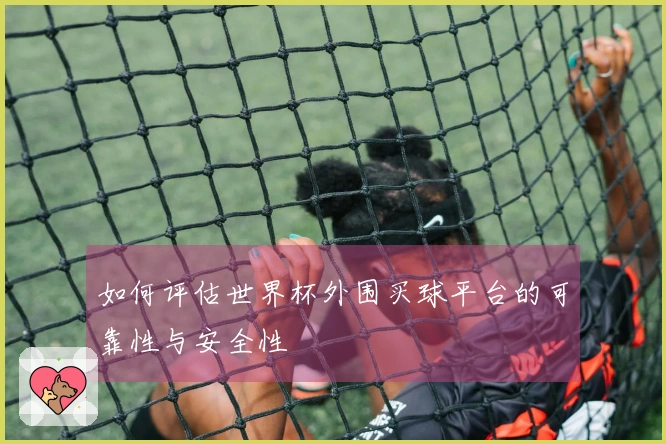 如何评估世界杯外围买球平台的可靠性与安全性
