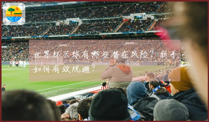 世界杯买球有哪些潜在风险？新手如何有效规避？