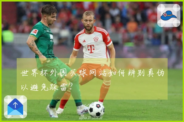 世界杯外围买球网站如何辨别真伪以避免踩雷？