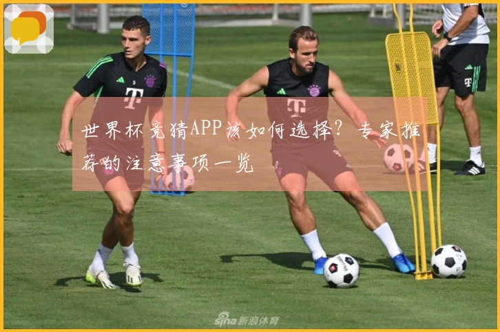 世界杯竞猜APP该如何选择？专家推荐的注意事项一览