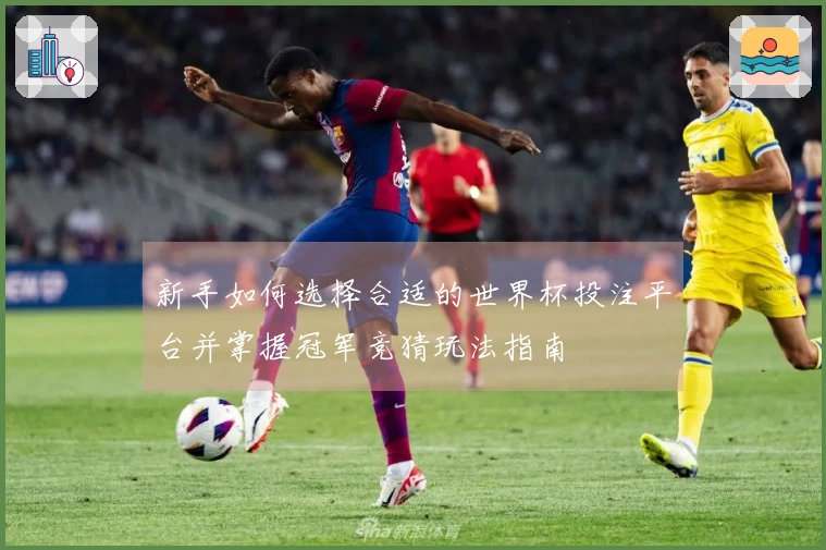 新手如何选择合适的世界杯投注平台并掌握冠军竞猜玩法指南