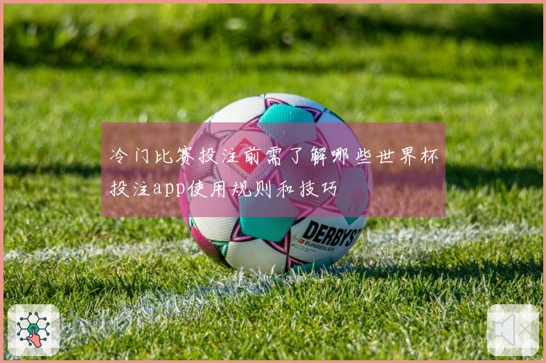 冷门比赛投注前需了解哪些世界杯投注app使用规则和技巧