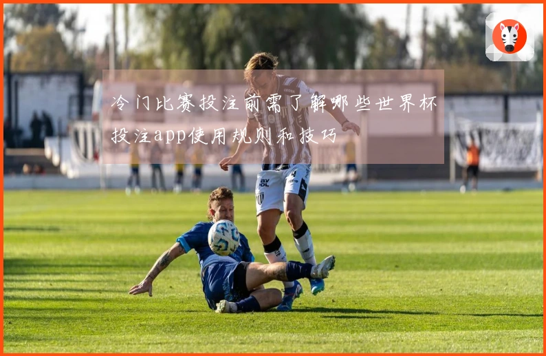 冷门比赛投注前需了解哪些世界杯投注app使用规则和技巧