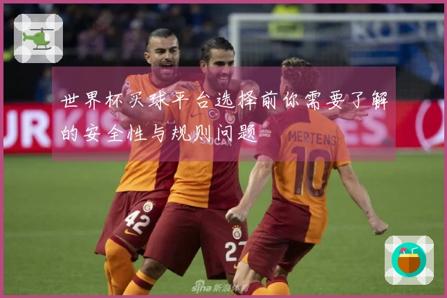 世界杯买球平台选择前你需要了解的安全性与规则问题