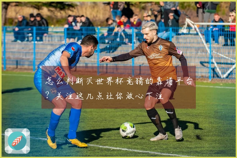 怎么判断买世界杯竞猜的靠谱平台？关注这几点让你放心下注