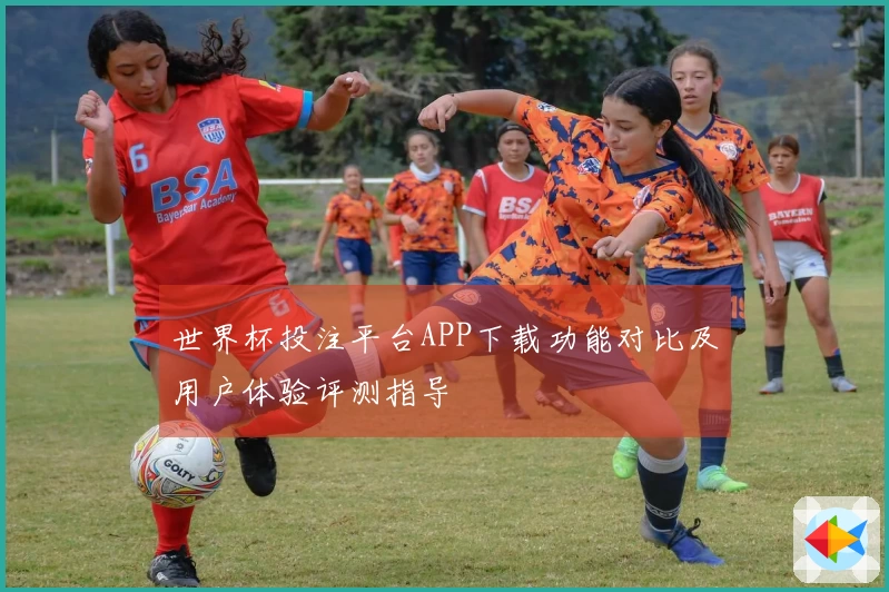 世界杯投注平台APP下载功能对比及用户体验评测指导